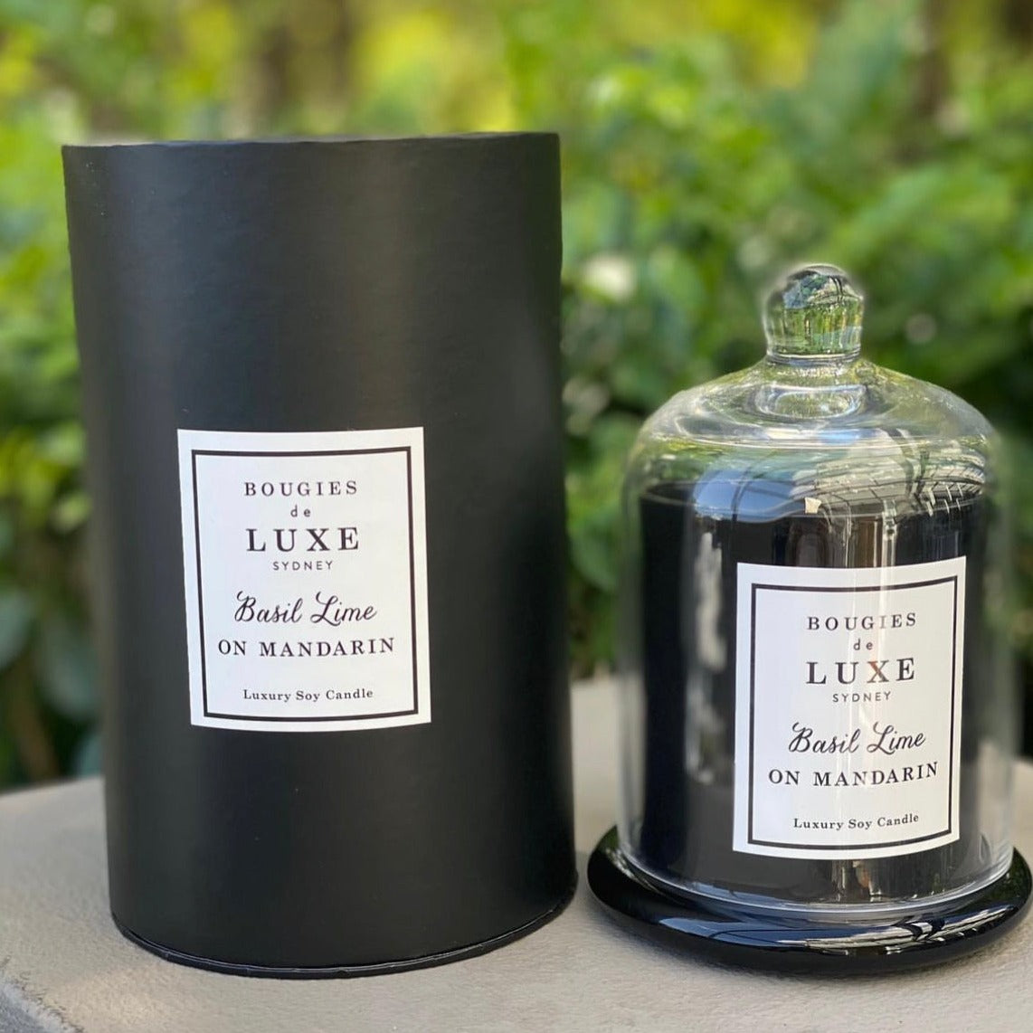 Signature Luxe Cloche Candle 270mls